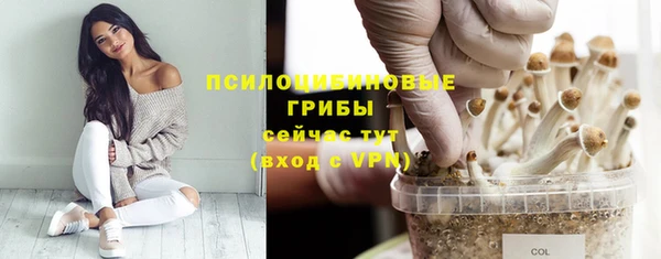 марки nbome Няндома