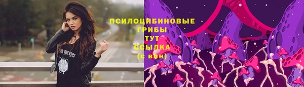 трава Нязепетровск
