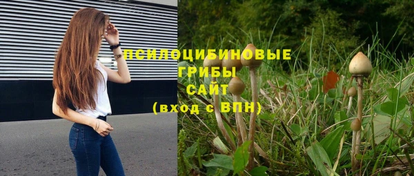 ГАЛЛЮЦИНОГЕННЫЕ ГРИБЫ Нягань